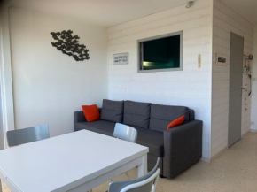 Appartement 2 étoiles à 5 min des thermes avec parking et clim, animaux acceptés - FR-1-503-129